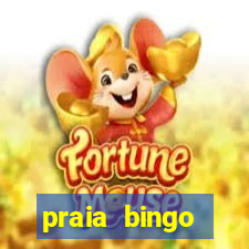 praia bingo dinheiro infinito 2022